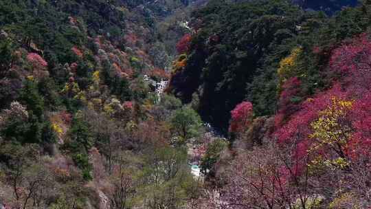 泰山对松山的秋色