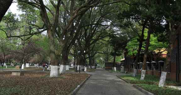 春天大学校园 东吴大学苏州大学