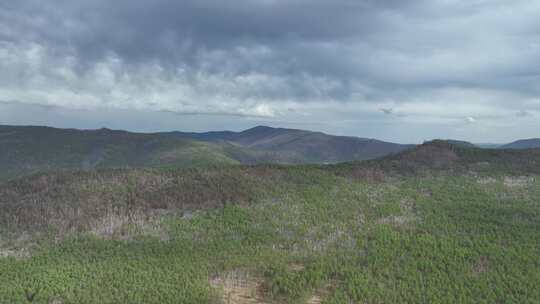 航拍初夏大兴安岭风景