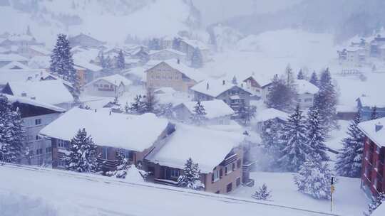 特写雾凇过后的森林大学覆盖白雪