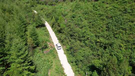 新能源汽车汽车经过树林 汽车公路旅行森林视频素材模板下载
