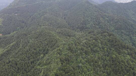 航拍丘陵山川森林绿色植物