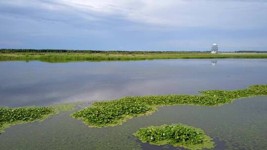 松花江同江湿地