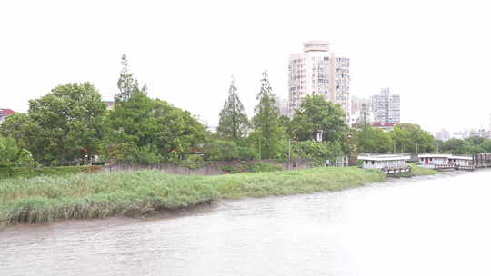 4K风景江边风吹芦苇文艺空景100P