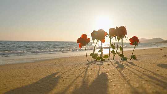 夕阳下的玫瑰花与海浪