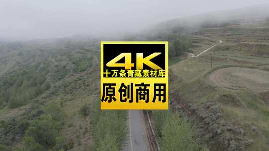 青海海东平安洪水泉道路树木航拍视频高清在线视频素材下载