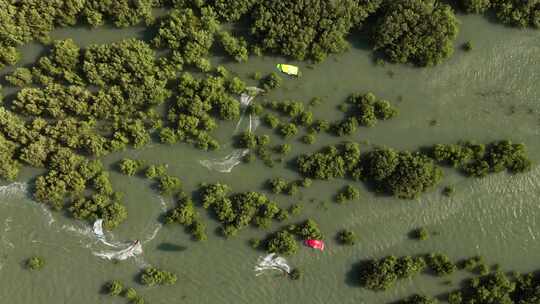 令人难以置信的电影自上而下无人机拍摄的风筝在巴西红树林之间编织