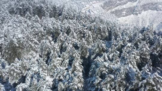 航拍峨眉山山谷雪景