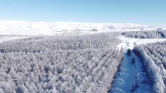 雪后银装素裹的山林景观