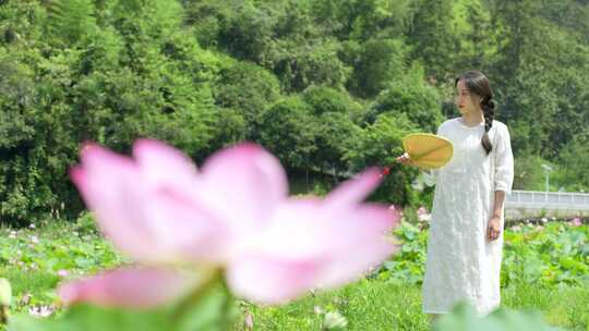 荷花特写池古风唯美少女汉服意境游玩白粉色