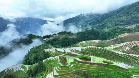 云雾缭绕的山间梯田和村落景观