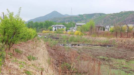 美丽乡村环境 乡村振兴