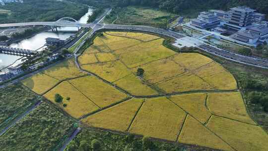 中国广东省广州市从化区广州国家版本馆