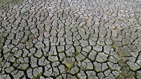 干涸的土地缺水开裂旱灾视频素材模板下载