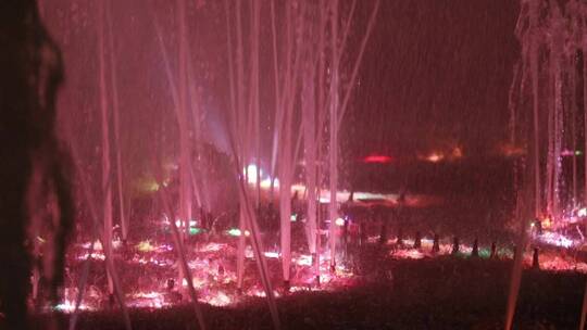 新年里观看音乐喷泉的市民热闹的晚上