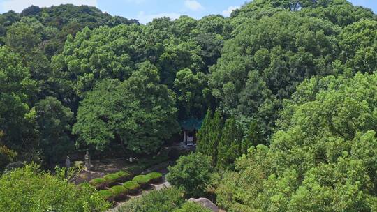 湖南岳阳洞庭湖君山岛旅游景区航拍视频