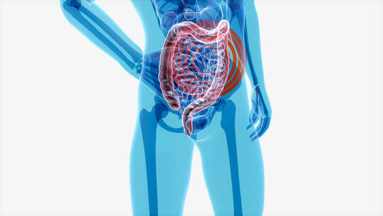 高科技医疗x光下的人体肠道组织解剖学手术
