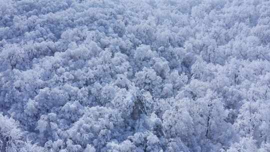 秦岭分水岭  冰雪世界