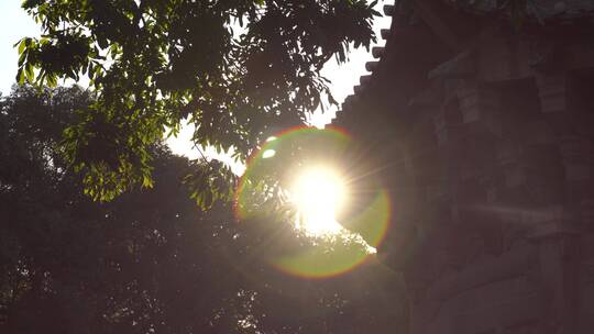阳光树林石塔太阳彩虹圈阳光穿过树叶