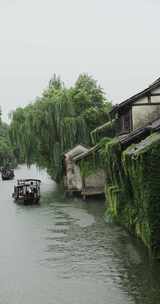 （慢镜）中国千年古镇乌镇下雨天竖版竖屏