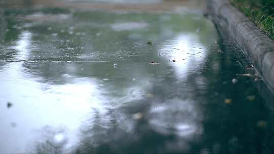 落叶雨滴意境雨滴水面路面路滴