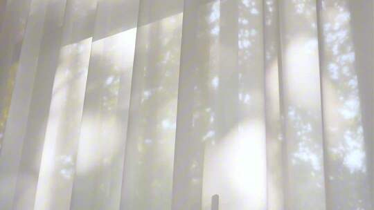 写意白纱窗帘白纱飞扬飘纱白纱