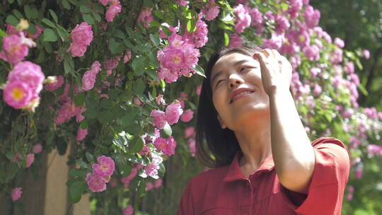 中国女性路边观赏盛开的蔷薇花