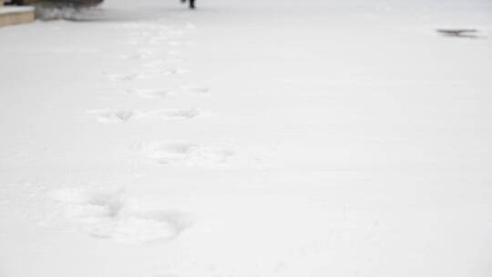 雪地脚步脚印特写素材