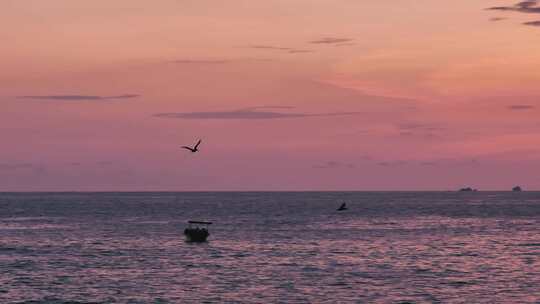 落日海鸟飞翔海边海浪