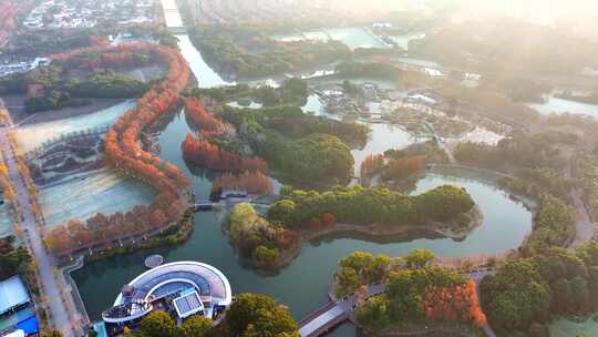 上海世纪公园秋天  秋天风景