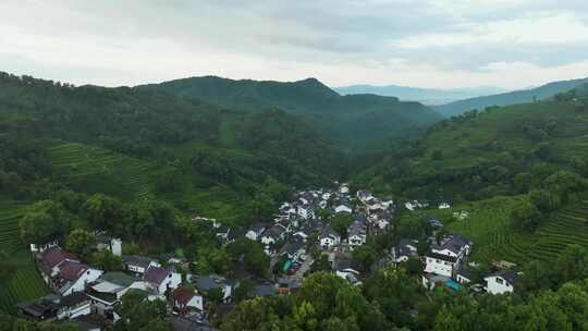 杭州西湖龙井产地翁家山龙井村