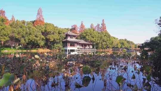 杭州西湖曲院风荷秋天水榭残荷风景