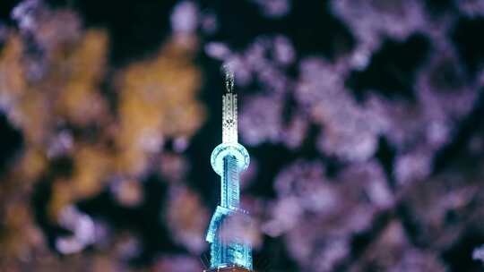 上海东方明珠电视塔顶与夜晚的樱花