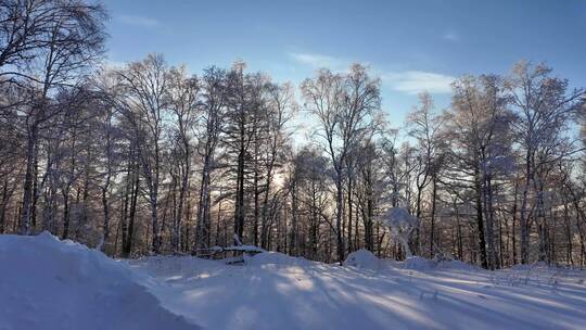 雪原松林雾凇风景