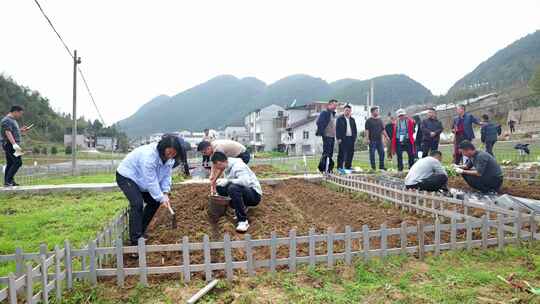 劳动空镜刨土锄地农场工人耕作劳作翻土