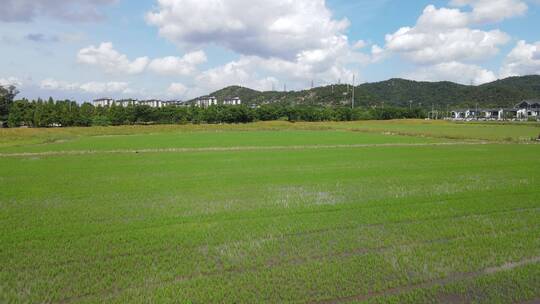 宁波江北区荪湖花海景区4K航拍