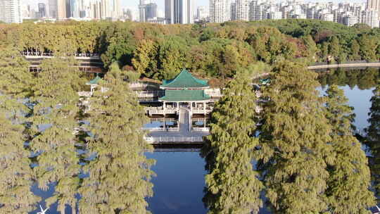 航拍武汉东湖碧潭观鱼大景