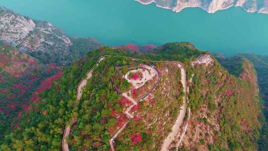 长江三峡巫峡红叶