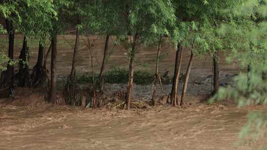 实拍暴雨后洪水 山洪  泥石流