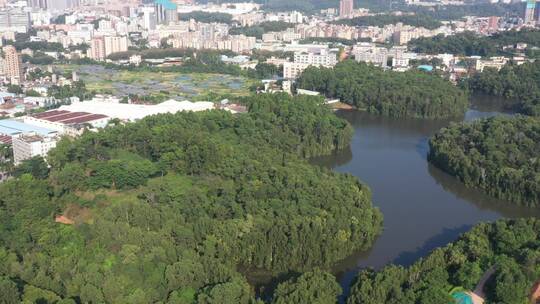 航拍深圳龙华区观澜园林绿化及居住区绿化