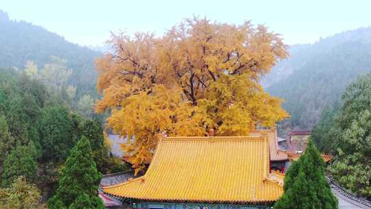 山东济南淌豆寺秋天航拍寺庙