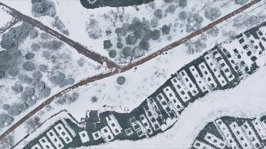 航拍银装素裹城市雪景长沙雪景视频素材模板下载