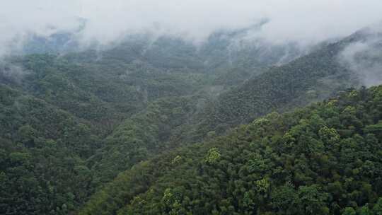 湖北咸宁通城