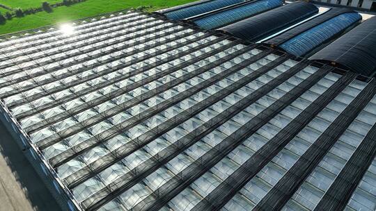 航拍现代化科技农业大棚