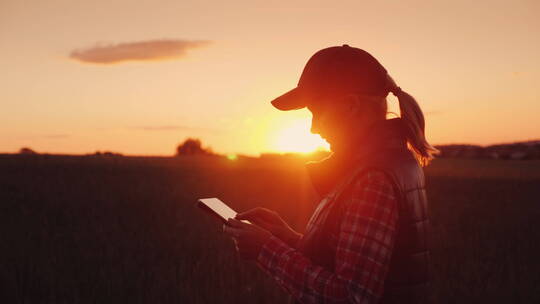 日落时分在田野里用平板电脑的女孩