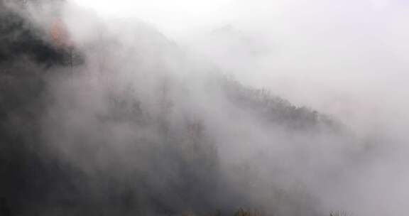 高山森林晨曦云海晨雾生态环境航拍