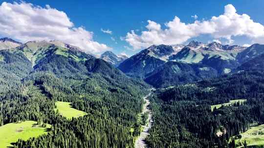 山林间的航拍全景