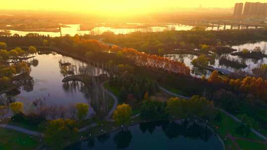 西安渭河浐灞湿地公园秋景视频素材模板下载