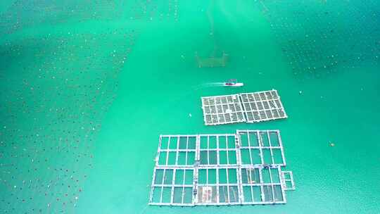 4K航拍渔港内海上养殖场的渔船渔排浮漂视频素材模板下载