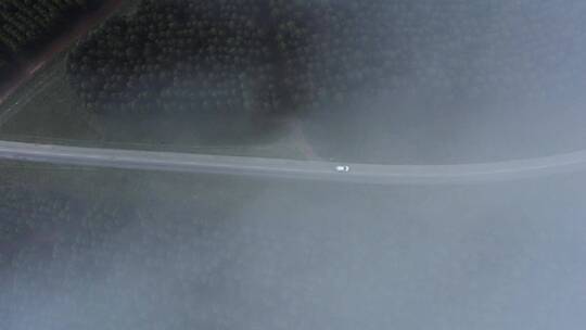 汽车驶过烟雾缭绕的森林视频素材模板下载